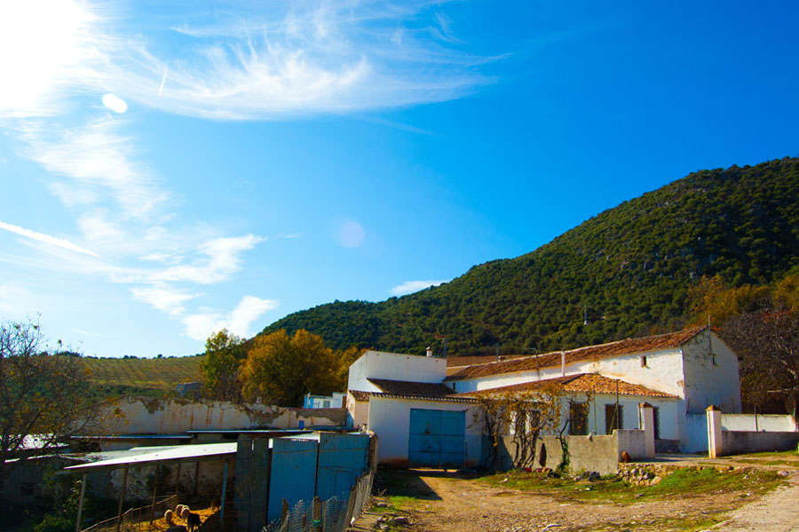 Rural house Málaga