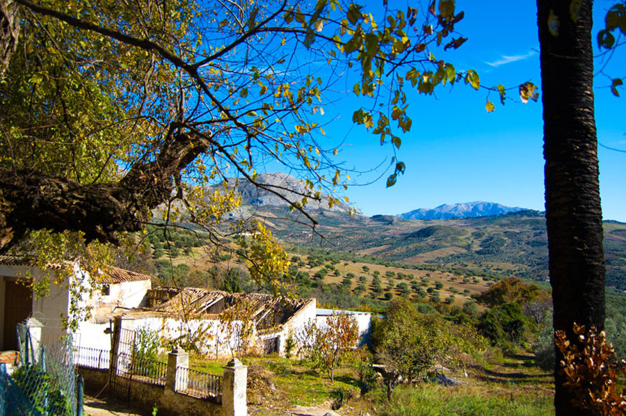 Rural house Málaga